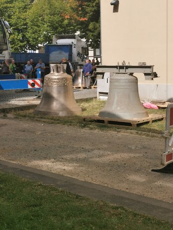 IMG_20210811_112236.jpg