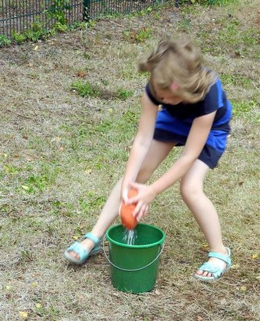 DSCN3972bearb.jpg DSCN3972bearb.jpg